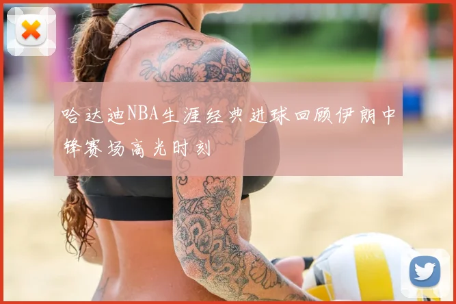 哈达迪NBA生涯经典进球回顾伊朗中锋赛场高光时刻