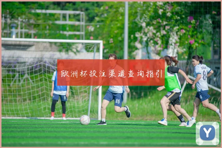 欧洲杯投注渠道查询指引
