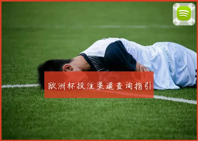 欧洲杯投注渠道查询指引